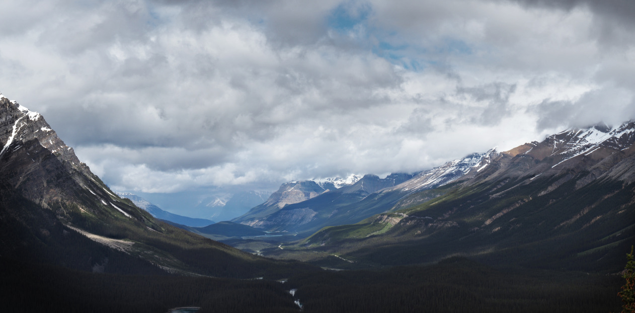 Landscapes cover image